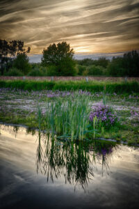 Foto door Egon Zitter