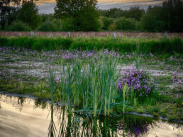 Foto door Egon Zitter