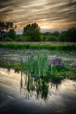 Foto door Egon Zitter